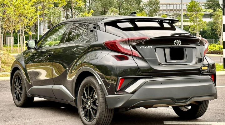 WhatsApp Image 2023-07-08 at 10.28.38